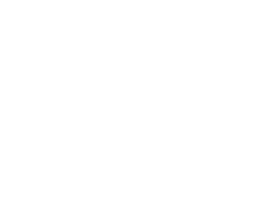 DNA Partner